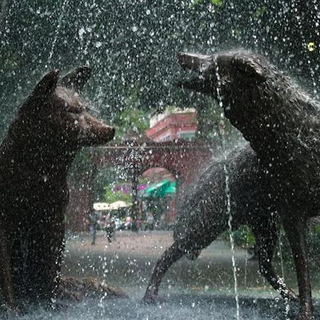 Casa Kalidy Coyoacan Ciudad de México Exteriér fotografie